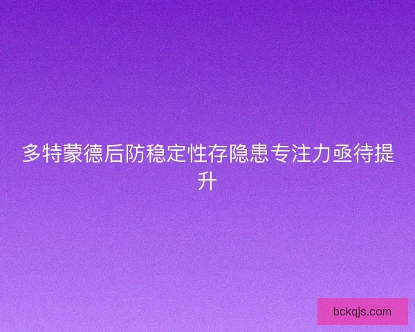 多特蒙德后防稳定性存隐患专注力亟待提升
