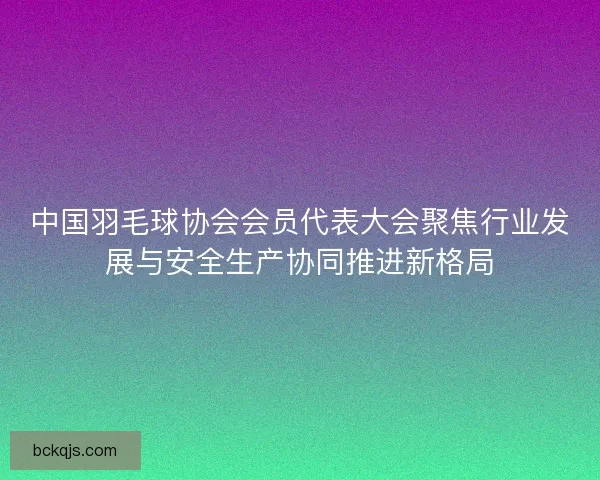 中国羽毛球协会会员代表大会聚焦行业发展与安全生产协同推进新格局