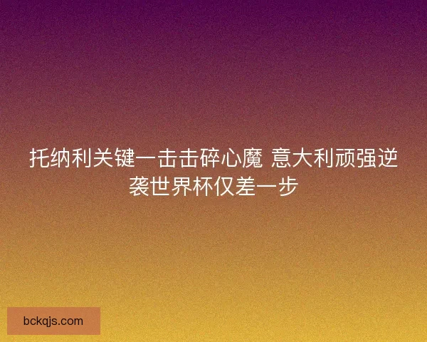 托纳利关键一击击碎心魔 意大利顽强逆袭世界杯仅差一步